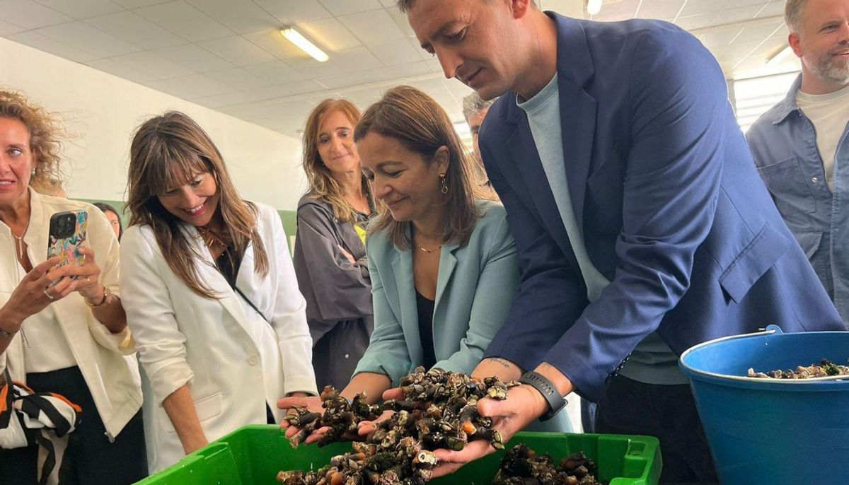 Corme repartiu unhas 2.100 racións na Festa do Percebe do Roncudo