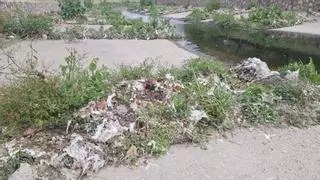 Naturalistes de Girona i Aigua és Vida denuncien l’acumulació de residus a la llera del riu Onyar