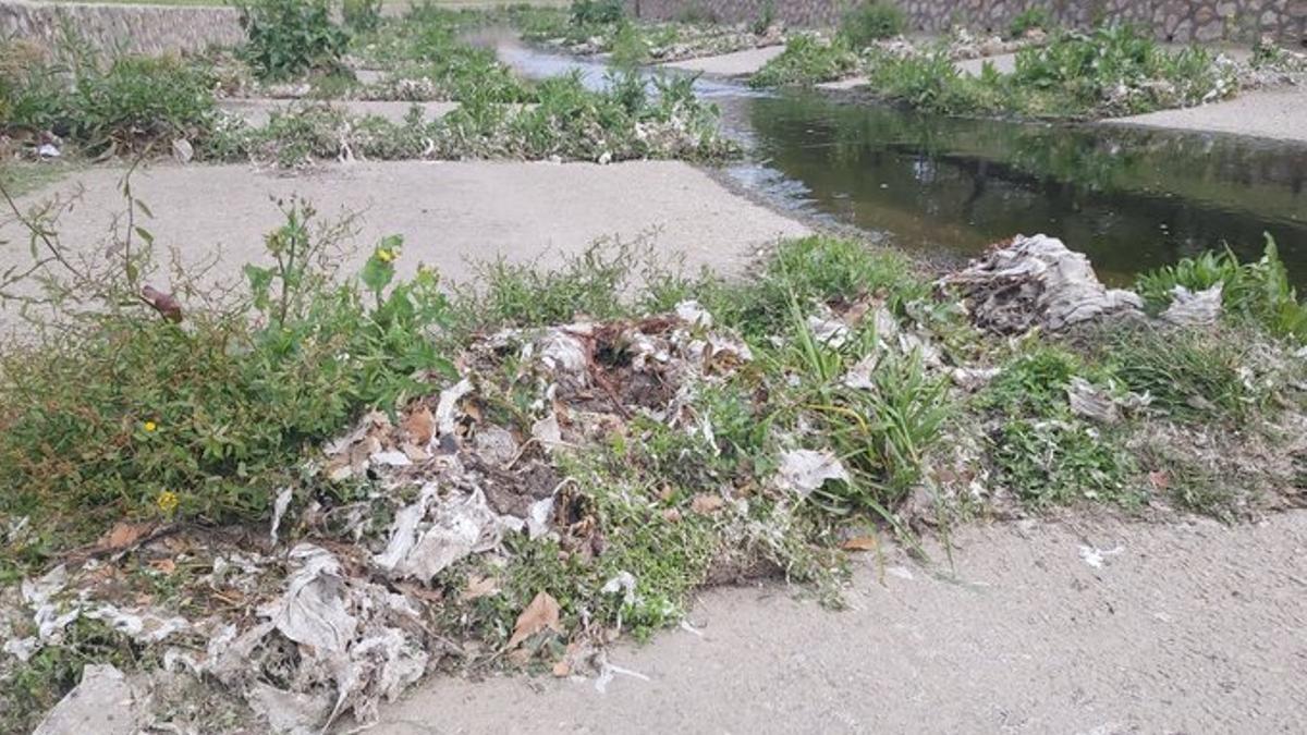 Els residus que es poden veure al riu Onyar.