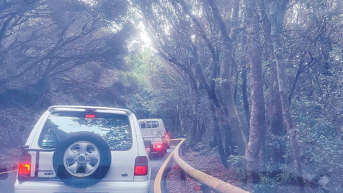Colas en la carretera de Anaga este miércoles 11 de septiembre.