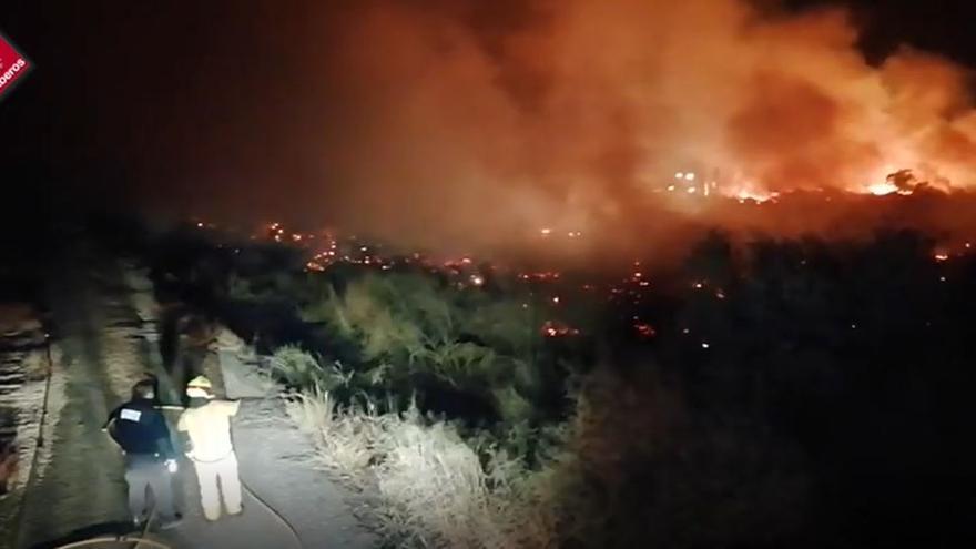 Arden tres hectáreas en un espectacular incendio en un vivero de palmeras en Elche