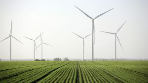 El Grupo, a través de GPG, pone en marcha el proyecto Hawkesdale, con una potencia de 97 MW, que producirá energía renovable equivalente al consumo de 67.000 hogares.