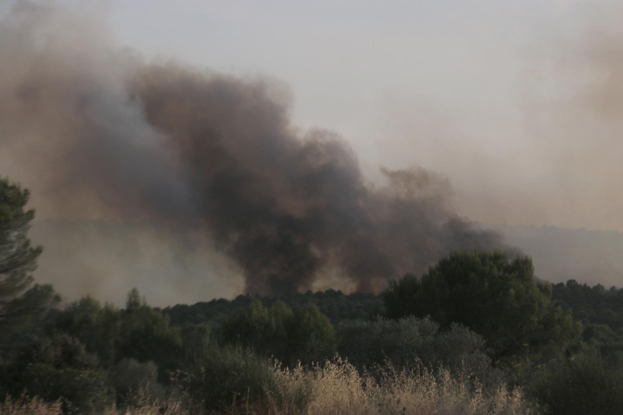 Les imatges de l'incendi de Ventalló i Vilopriu