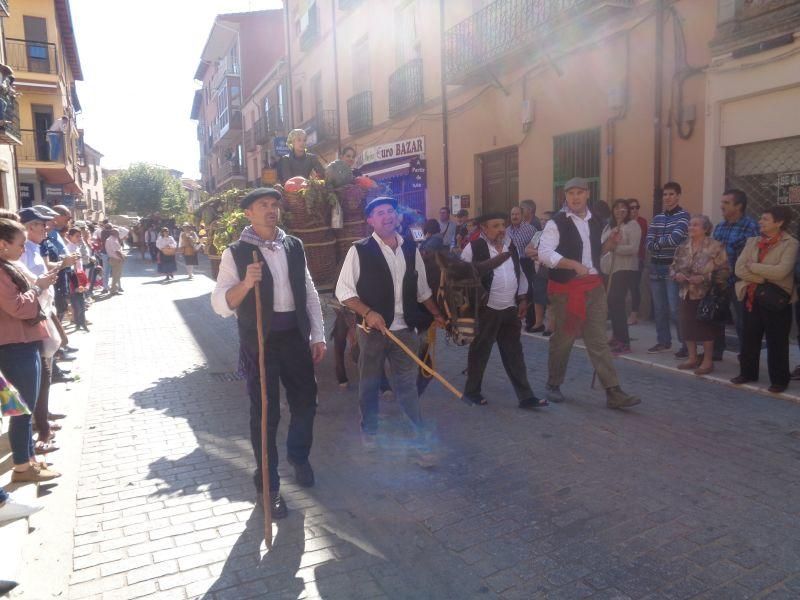 Desfile de carros en La Vendimia 2016 (Toro)