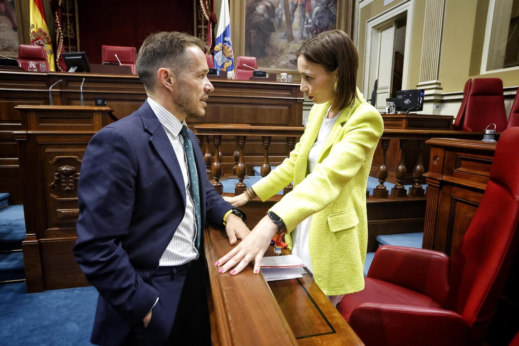 Pleno del Parlamento (08/04)