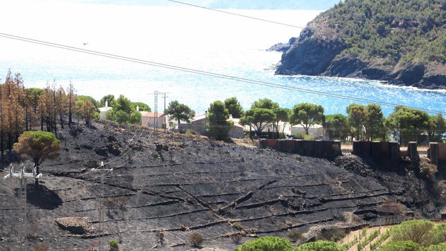 Enxampen un grup de joves fent una foguera en una platja de Colera