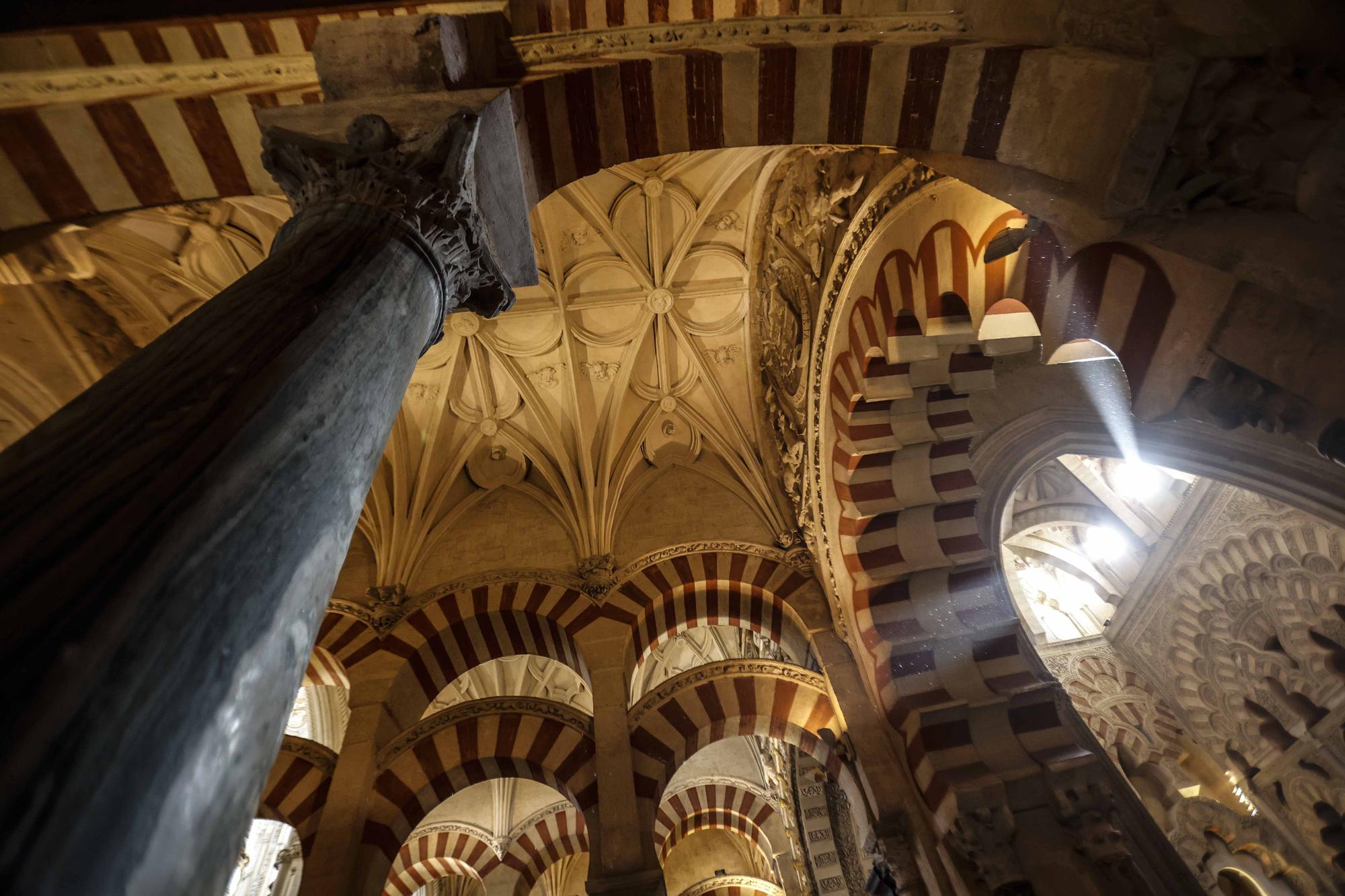 Visita a la Mezquita de las bellezas de las Hogueras de Sant Joan