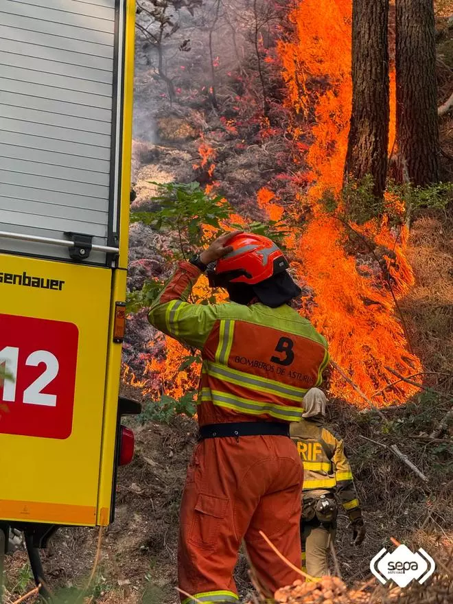 EN IMÁGENES: Los bomberos de Asturias combaten el fuego en Ávila