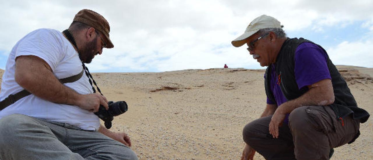 Juan Francisco Betancort, a la izquierda, junto a Tony Gallardo, analizan varios restos paleontológicos en Jandía.