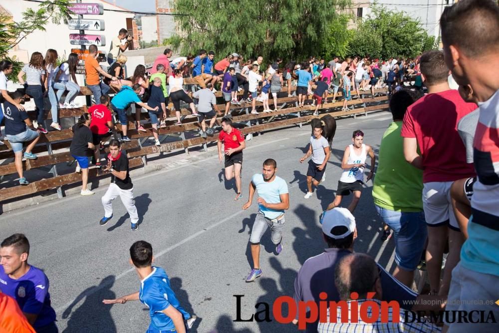 Cuarto encierro Fiestas de Moratalla