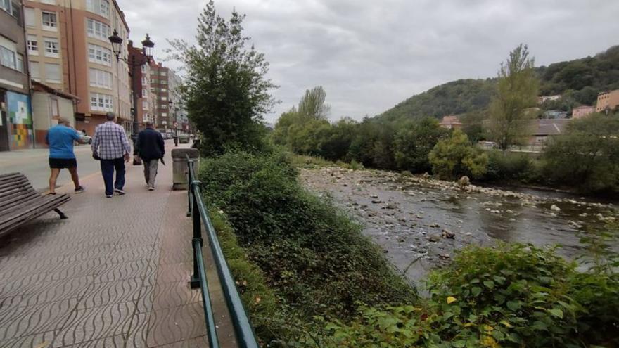 El PSOE urge la limpieza de la orilla izquierda del río Nalón a su paso por Sama