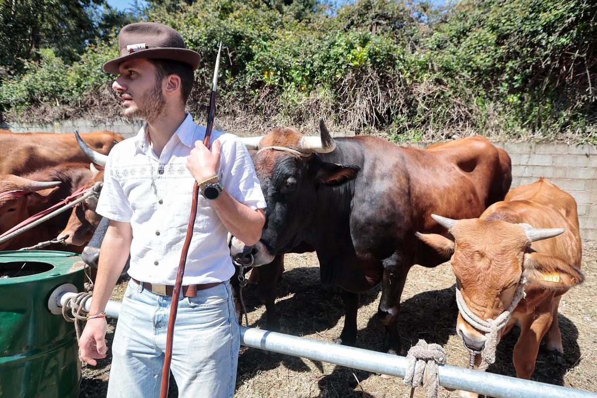 Pastor con su ganado en una feria celebrada en El Rosario