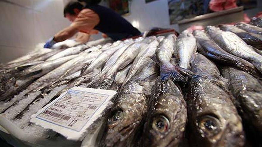 Merluza en una pescadería