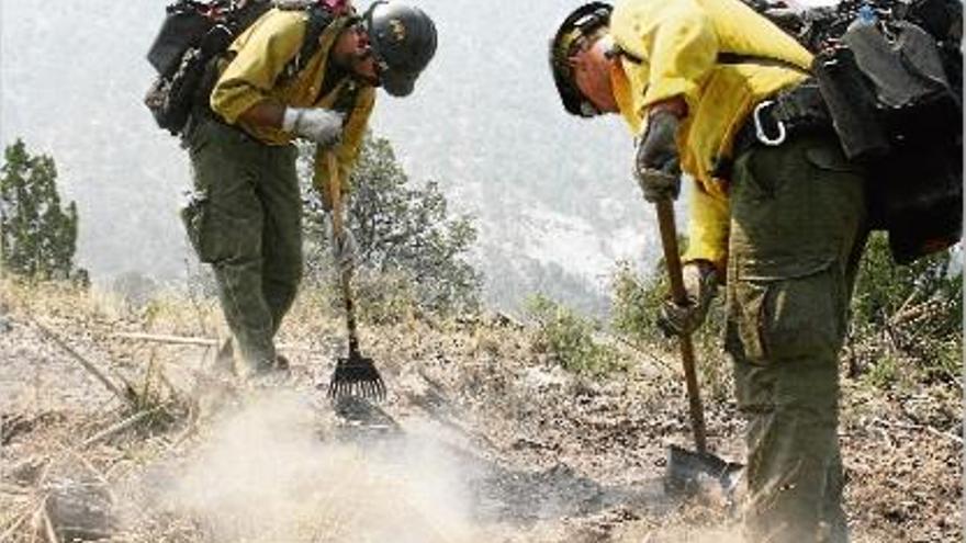 Dinou bombers moren en un incendi forestal a Arizona