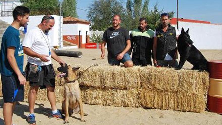 Las jornadas técnicas de FAGA abordan el pistacho y el ovino