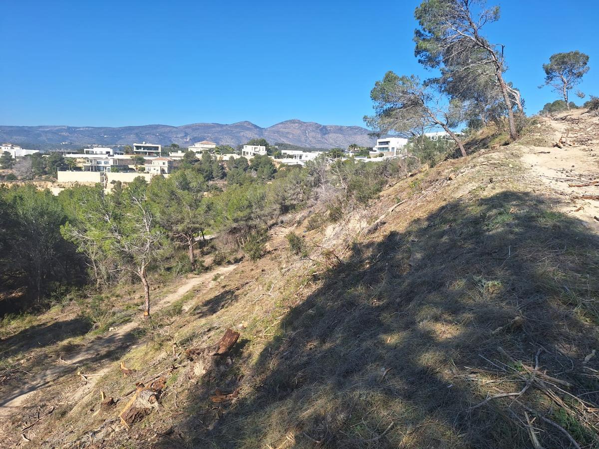 Ladera próxima a los chalés que se ha desbrozado ahora