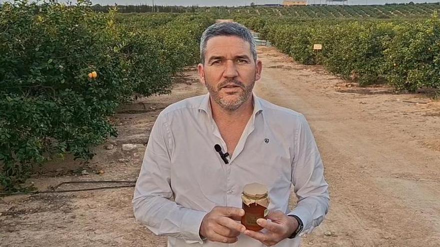 El PPRM exige a Sánchez ayudas a los apicultores para hacer frente a la subida de los costes