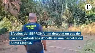 Enxampen un caçador furtiu que capturava ocells fringíl·lids sense permís i amb mètodes prohibits a Santa Llogaia d'Àlguema