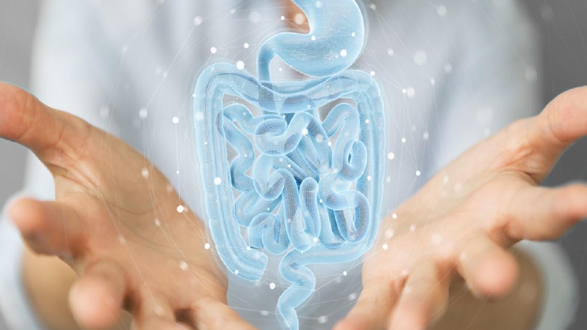 Los síntomas que advierten que tu flora intestinal está dañada y cómo puedes recuperarla