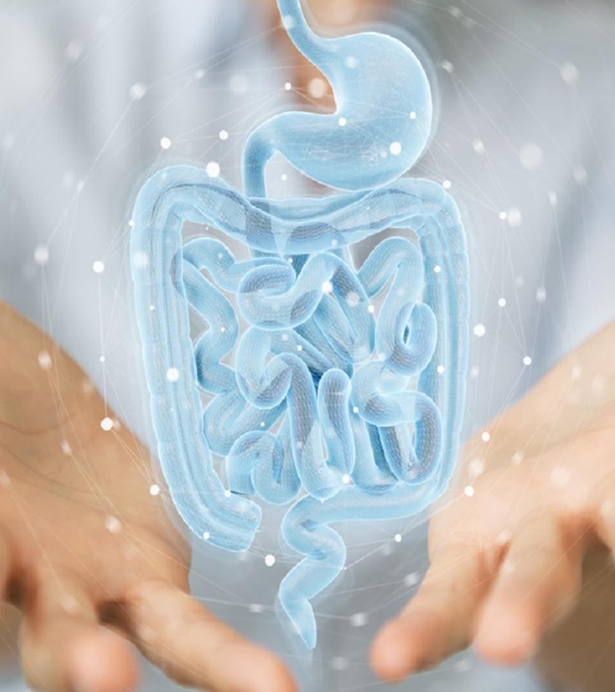 Los síntomas que advierten que tu flora intestinal está dañada y cómo puedes recuperarla