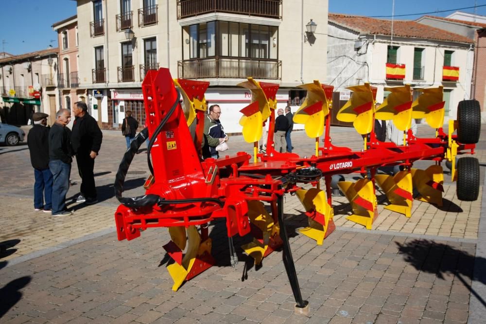 Feria de los Santos Fuentesaúco