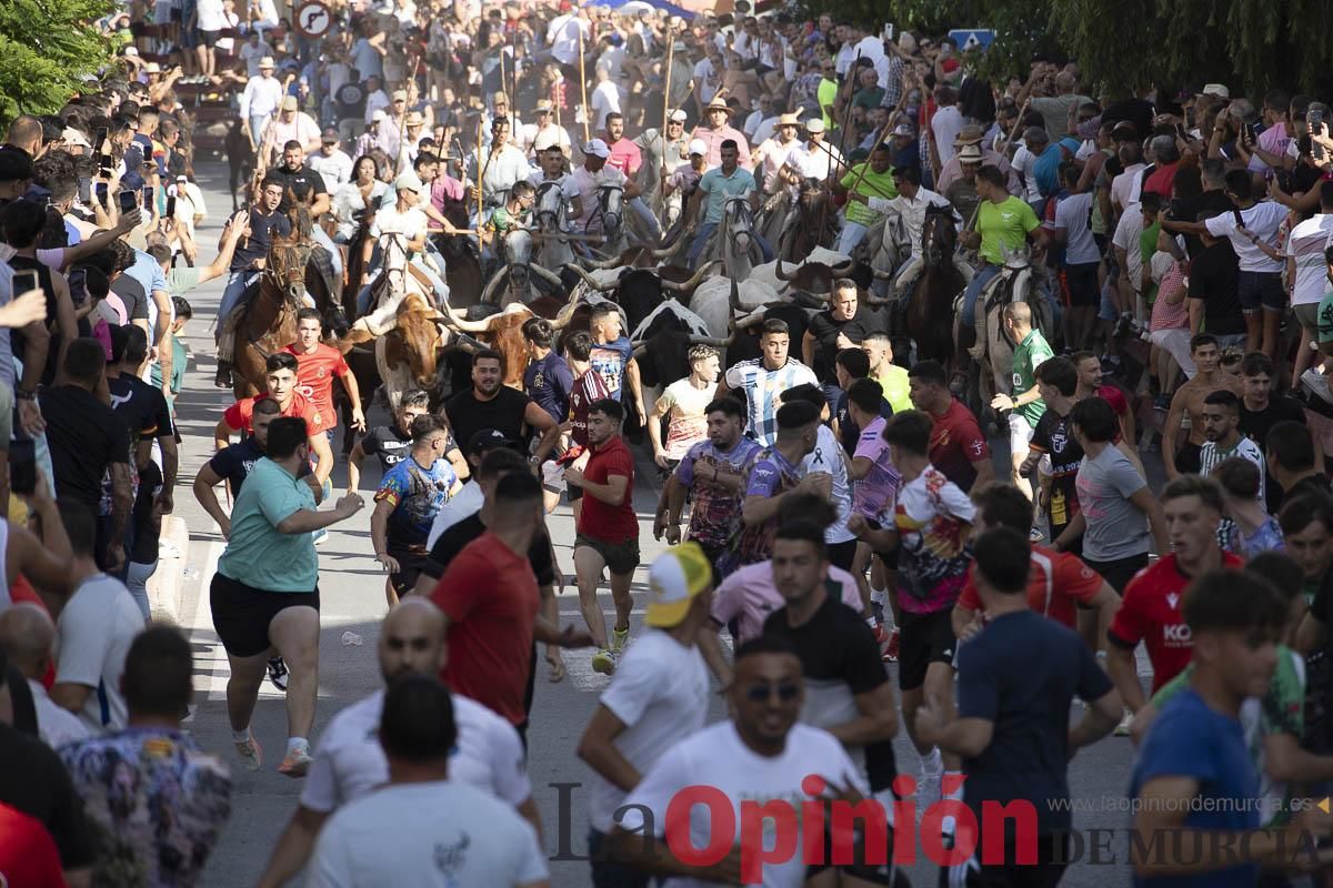 El segundo encierro de las Fiestas de Moratalla se salda con un herido