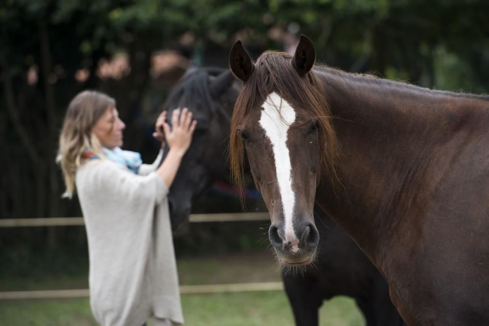 'Coaching' con caballos para empresarios