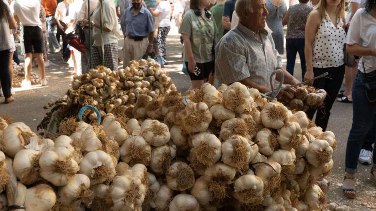 Una avenida y 300 toneladas de ajo