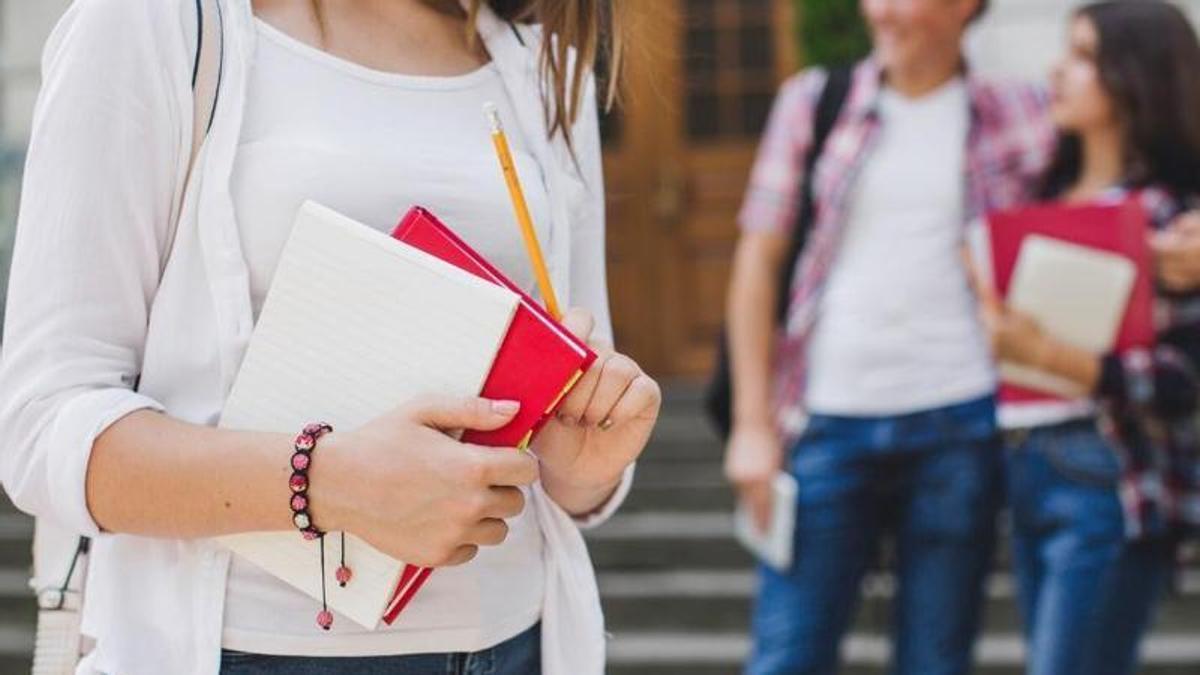 Els requisits de la beca Medrano