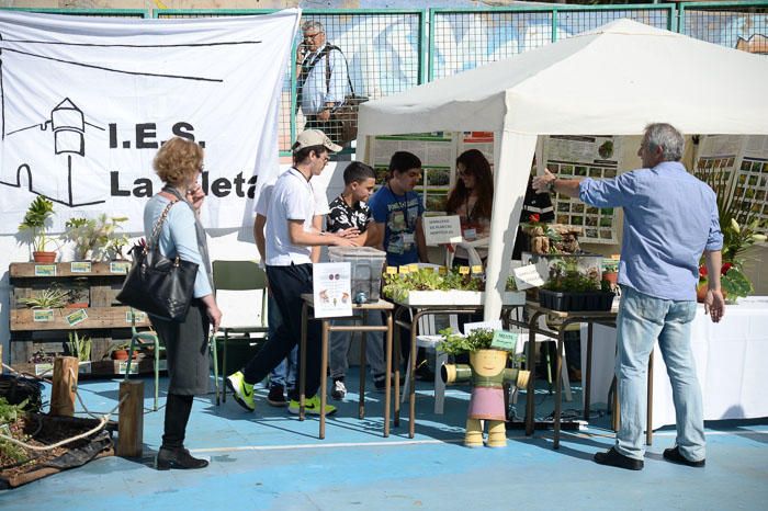 ORIENTACION ESCOLAR IES MESA Y LOPEZ