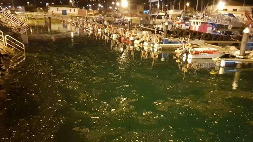 Foto tomada en los últimos días de los vertidos que denuncia XM y que aparecen siempre de madrugada. // Gonzalo Núñez