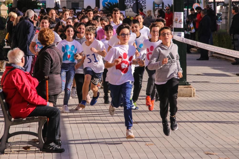 Carrera solidaria de Cotes Baixes en Alcoy