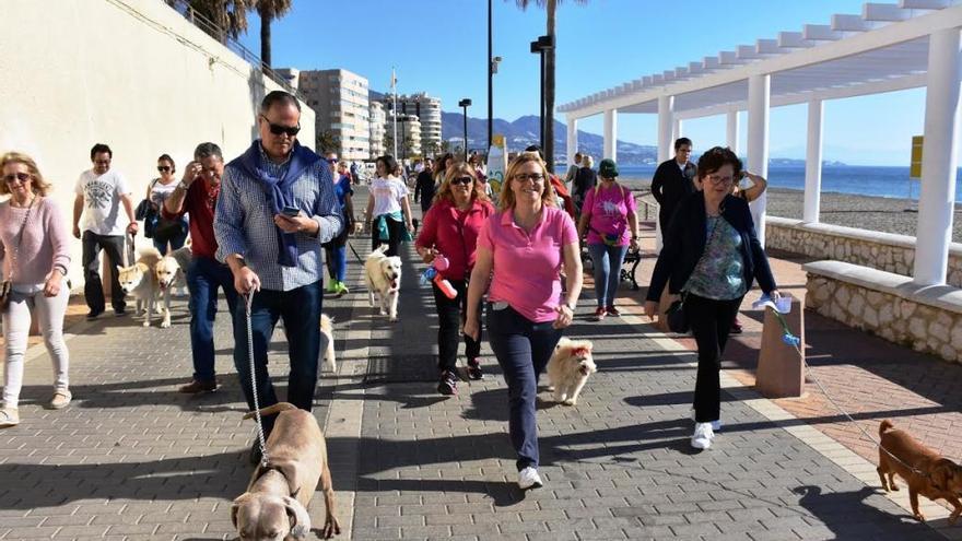 Una imagen de la marcha canina de la séptima edición del Día del Perro.