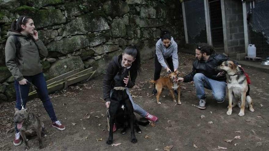 Miembros de la protectora, con tres perros sin hogar en el refugio de Baíña, que deben abandonar antes de febrero. // Adrián Irago