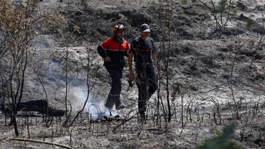 Parte de la zona afectada por el fuego durante el pasado mes de septiembre.