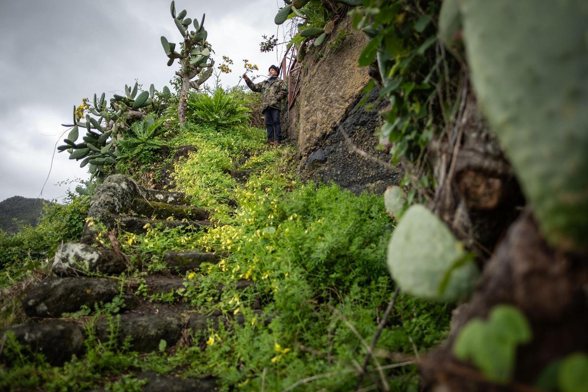 Un viaje a la Anaga profunda: Taborno