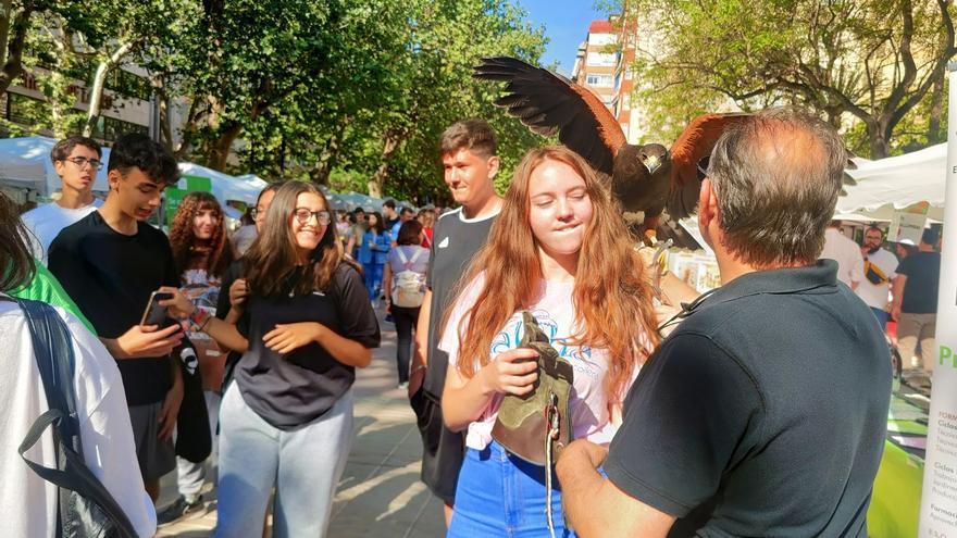 La Fira de l&#039;Estudiantat de Xàtiva congrega la oferta de 25 centros educativos