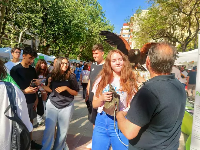 La Fira de l'Estudiantat de Xàtiva congrega la oferta de 25 centros educativos