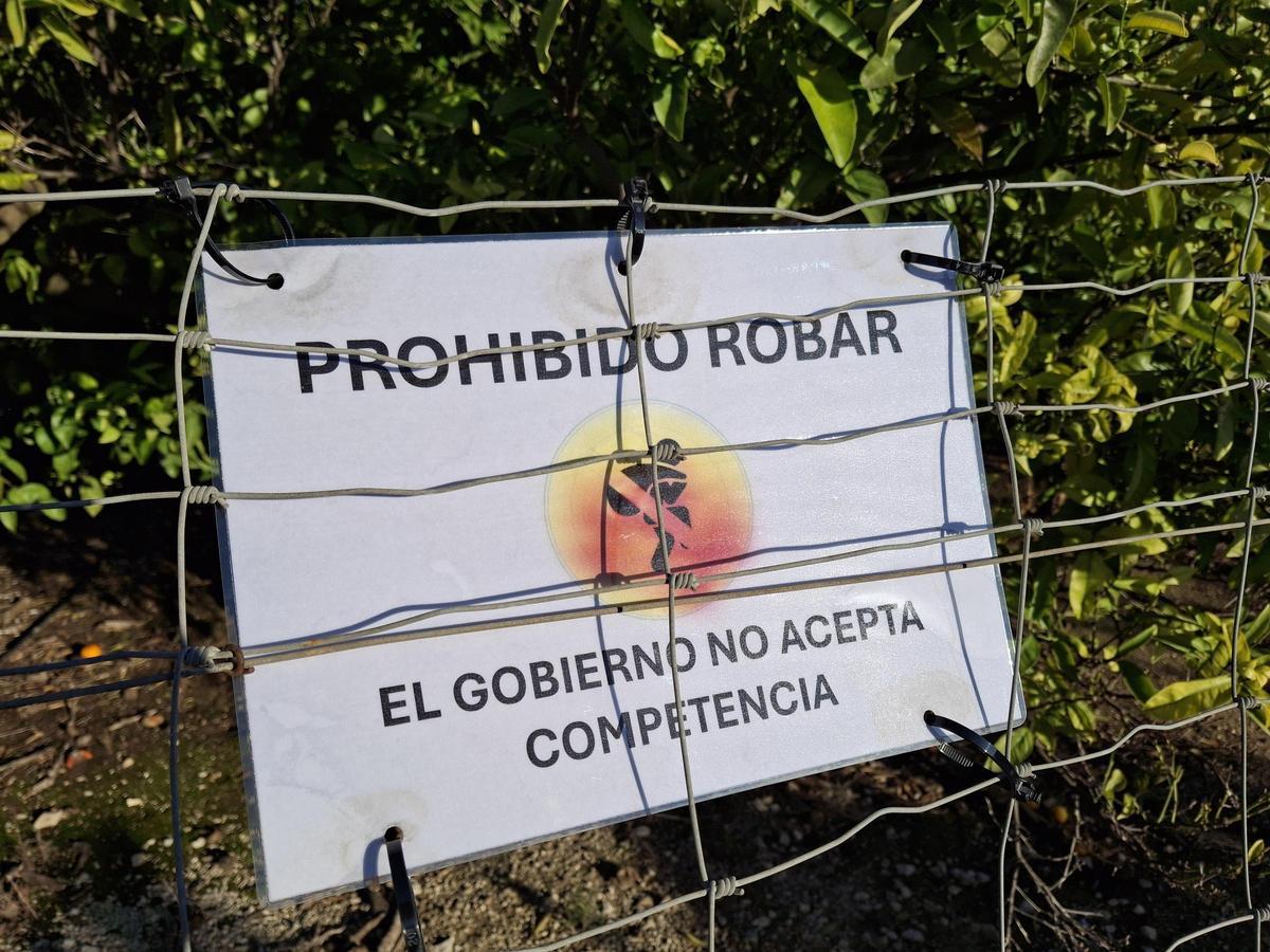 CRISIS AGRÍCOLA | Carteles en Xàbia contra los robos en el campo para ...