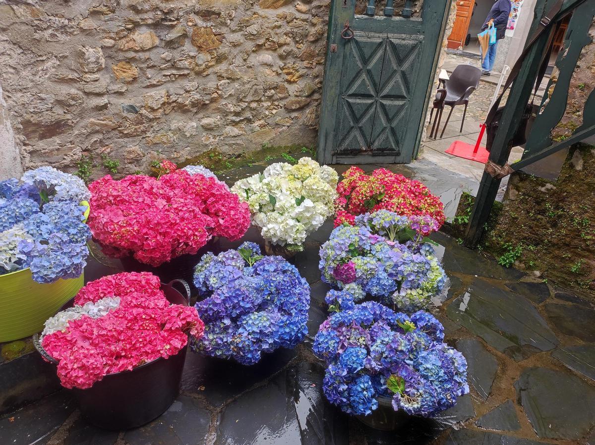 En imágenes: Castropol se llena de flores para el Corpus