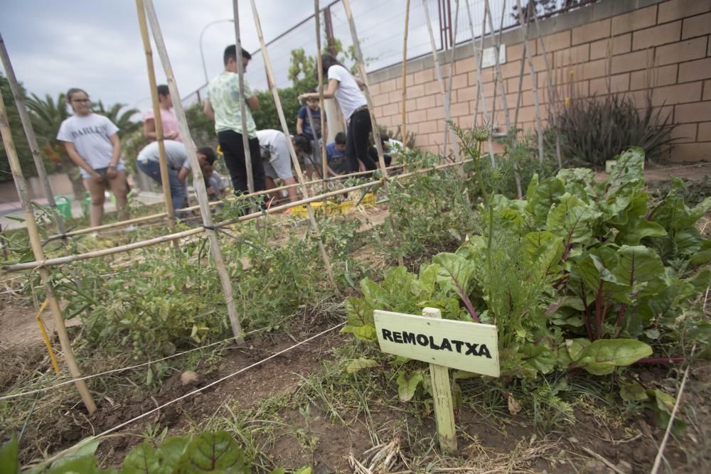 Hort escolar al CEIP Pablo Neruda València