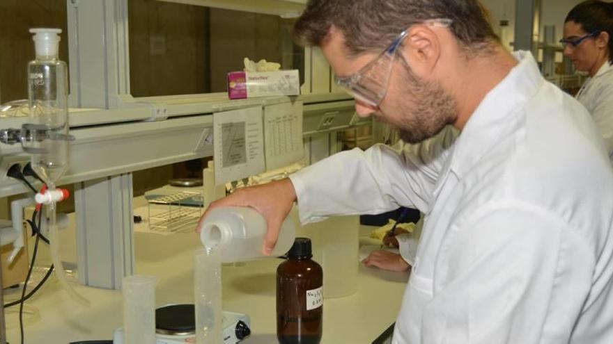 Dos investigadores de la Politécnica trabajan en un laboratorio de la universidad.