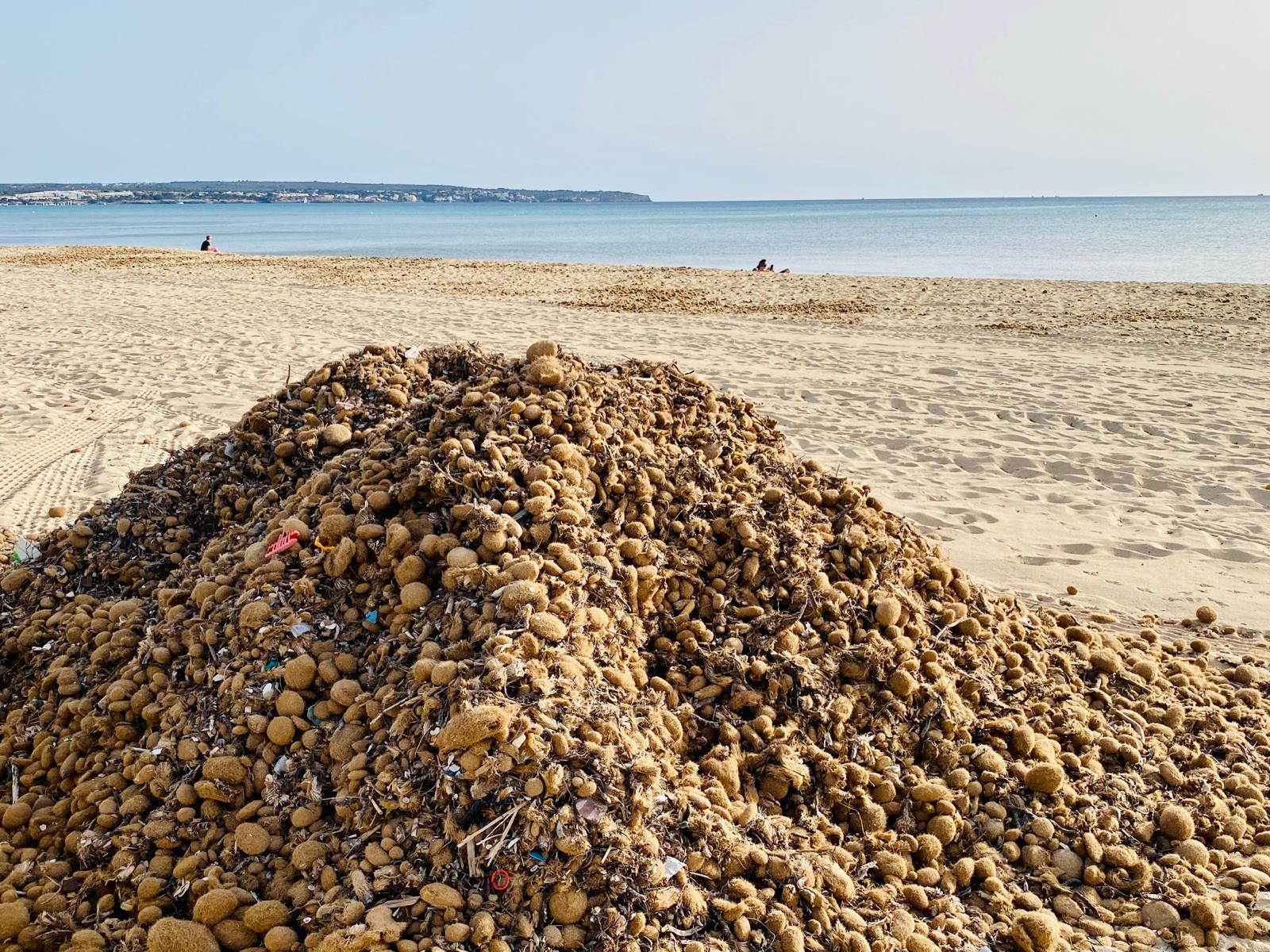 Bereit machen für die Mallorca-Urlauber – so sieht es gerade an der Playa de Palma aus