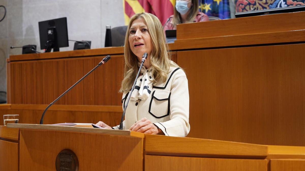 Mar Vaquero, en su comparecencia en el pleno de las Cortes.