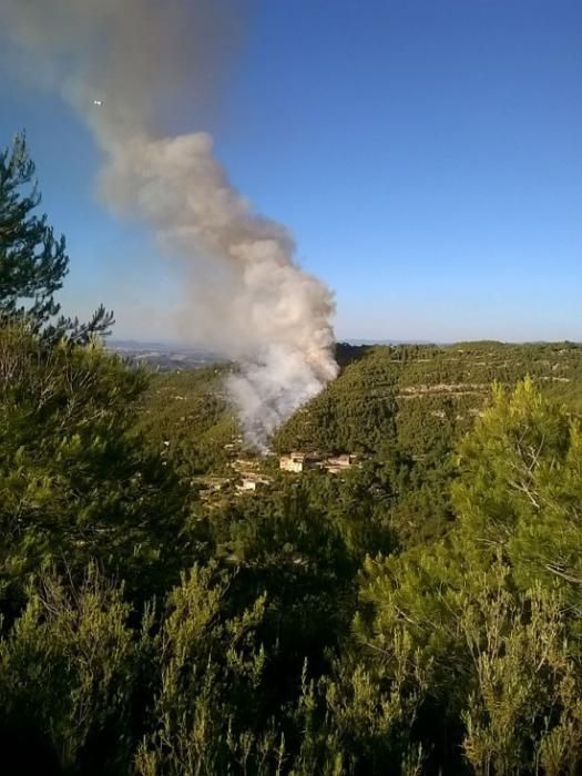 Incendi forestal a Marganell