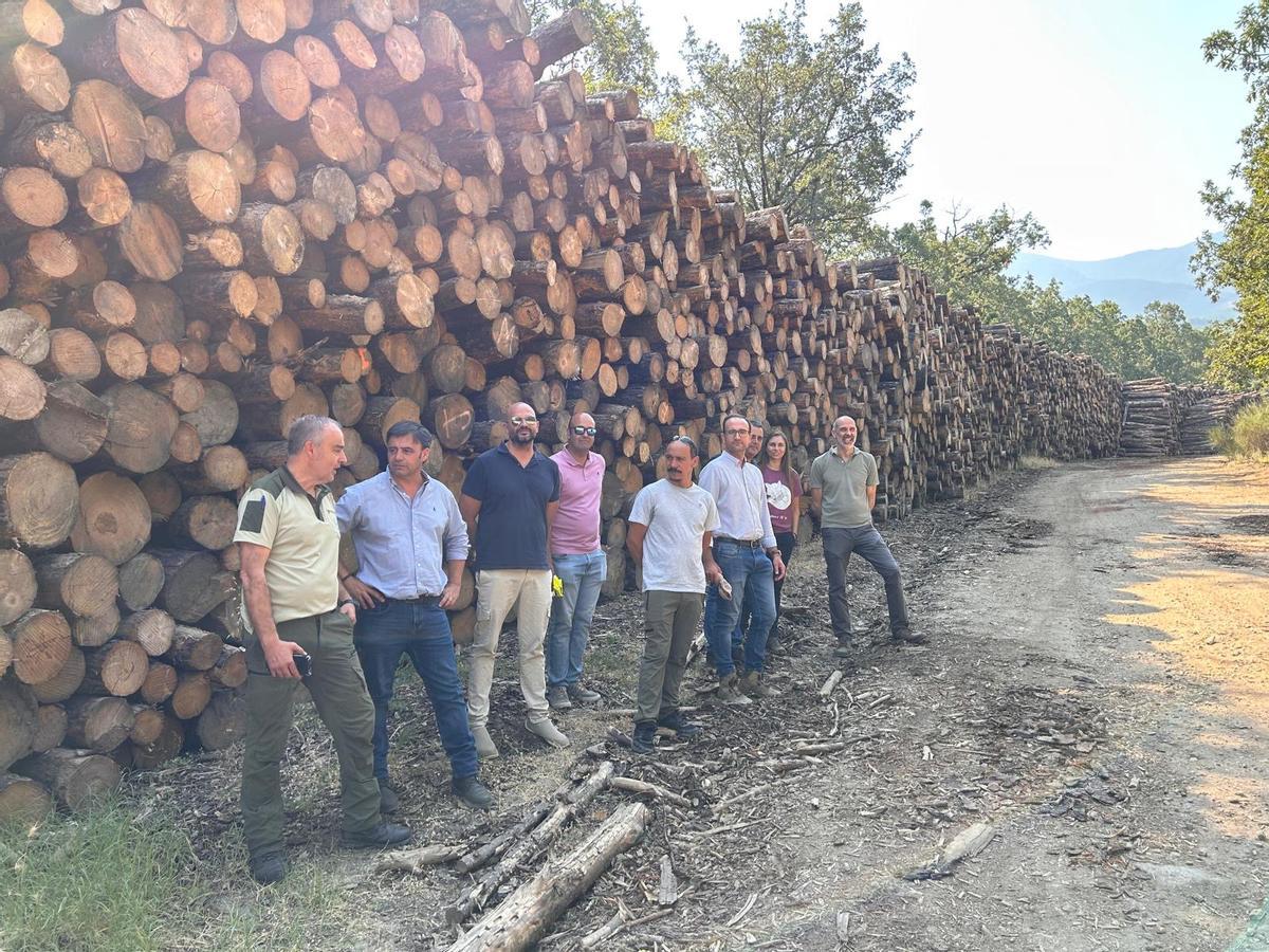 Fotogalería | La Junta recepciona la restauración de montes incendiados en Caminomorisco, Hervás y Casas del Monte
