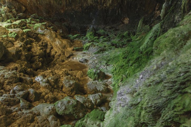 La ermeloíta se ha encontrado en el monte Ermelo, en Pontevedra.