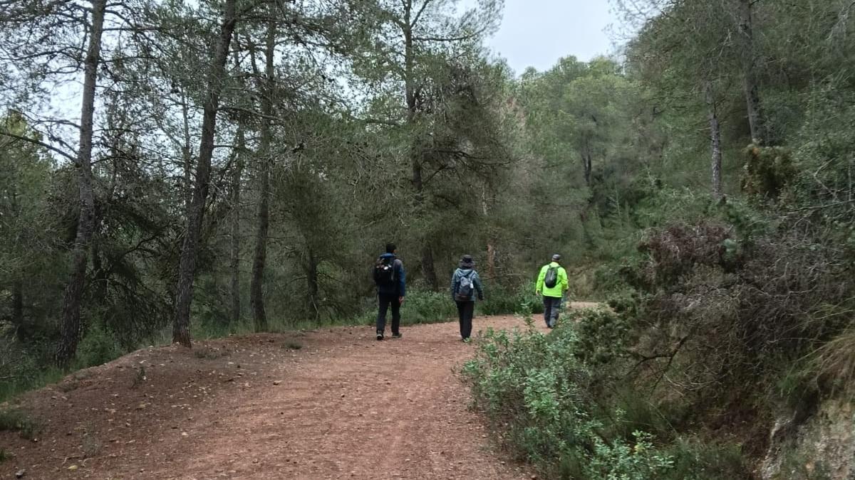 Qué hacer en Murcia | Regresan las rutas medioambientales gratis en Murcia, con una salida al Pico del Águila