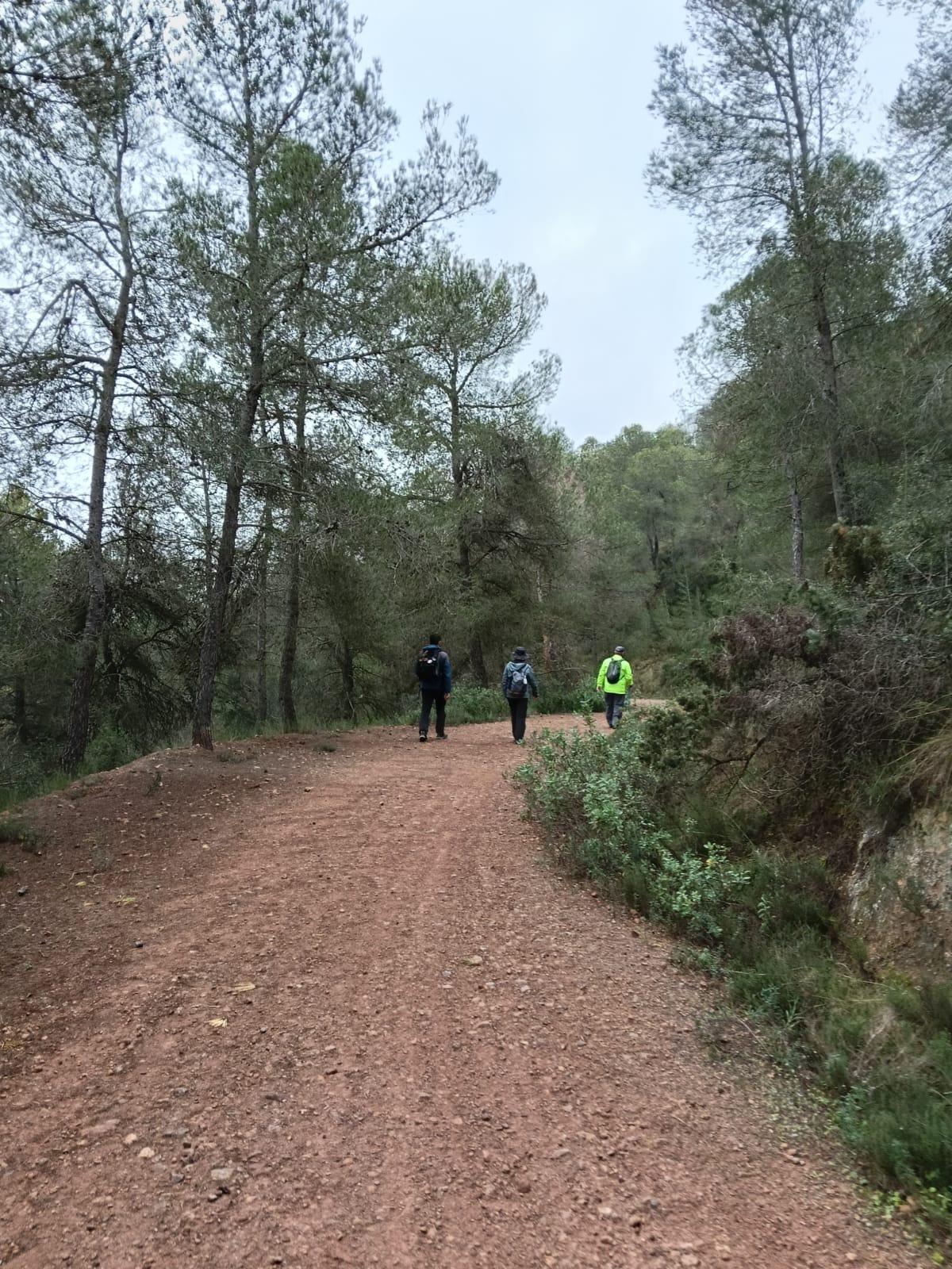 Imagen de archivo de una de las rutas para disfrutar de los parques forestales municipales.