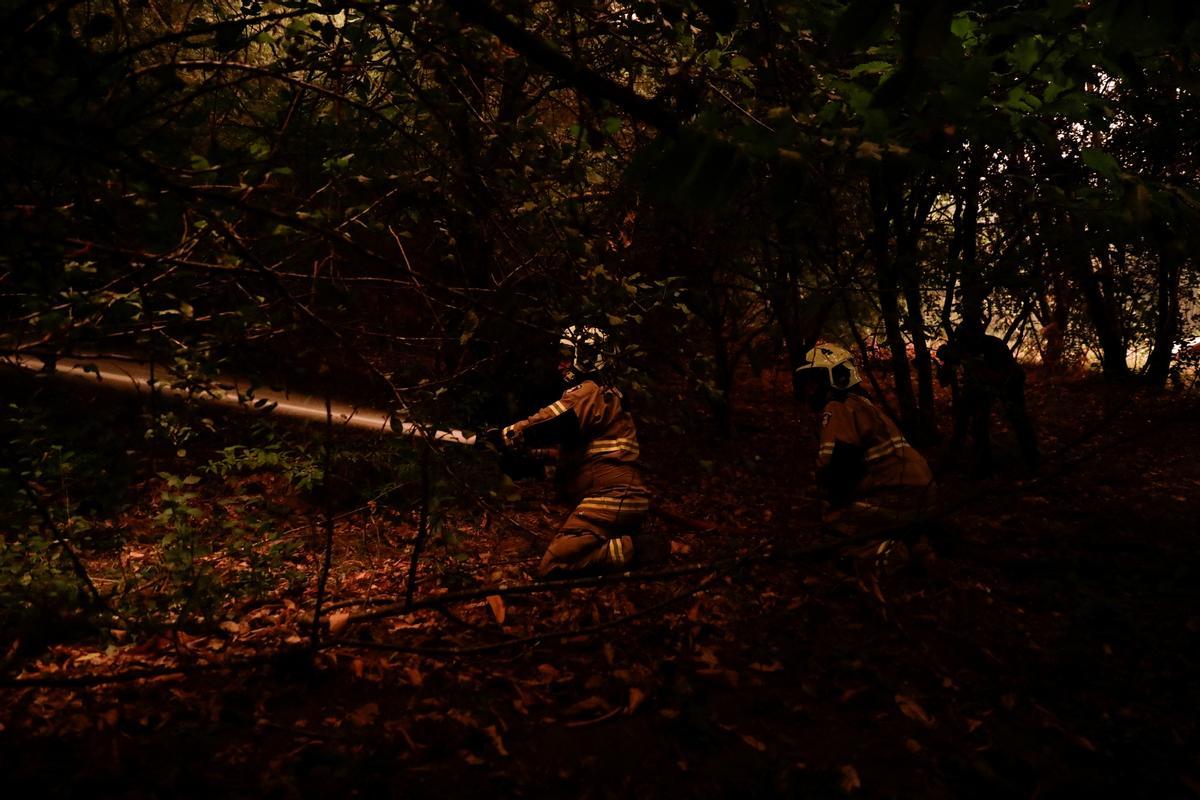 Los incendios que arrasan Chile dejan ya más de 20 muertos